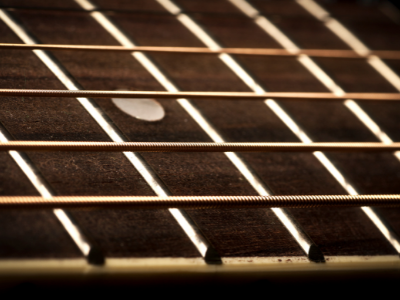 Close up of guitar frets