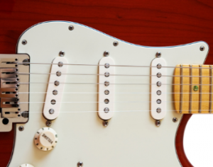 Guitar pickups showing metallic poles