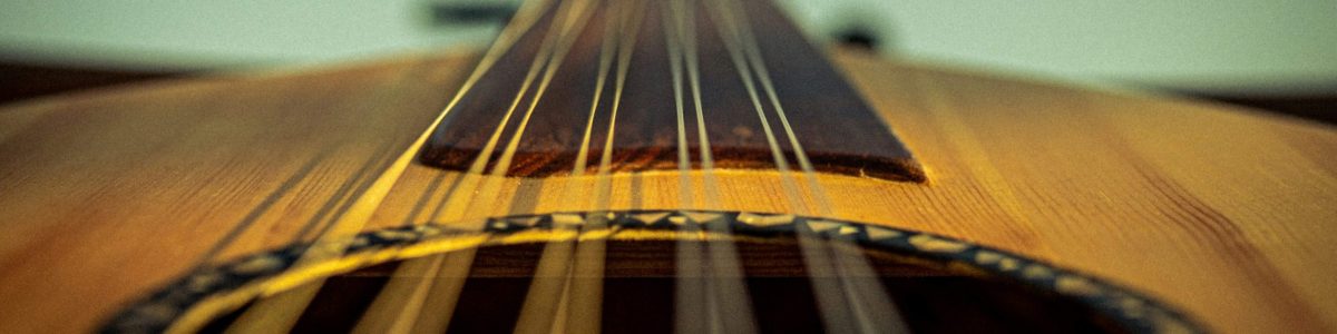 an oud, viewed from the bridge up the neck