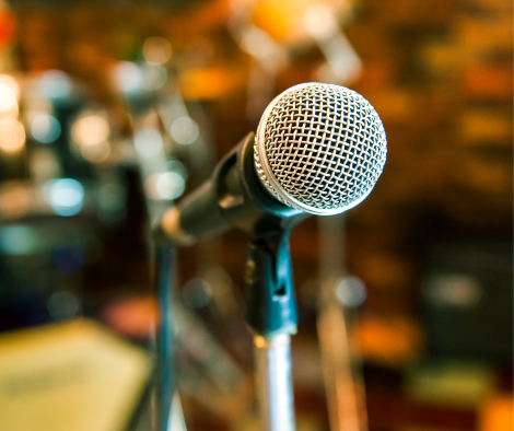 Mic Microphone