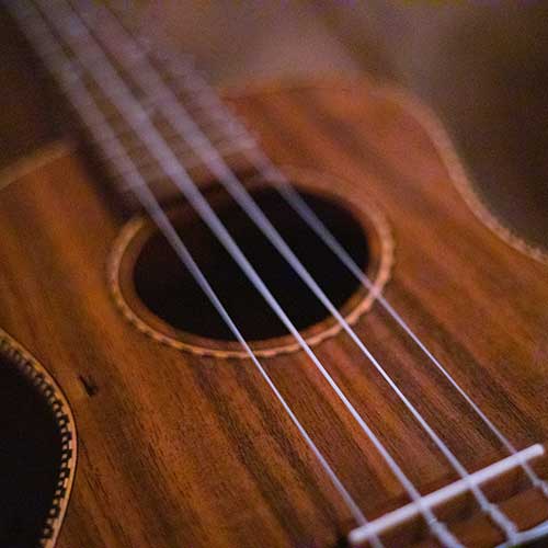 Ukelele Lessons at Toronto Guitar School