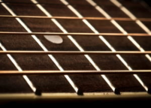 Guitar strings and frets close up